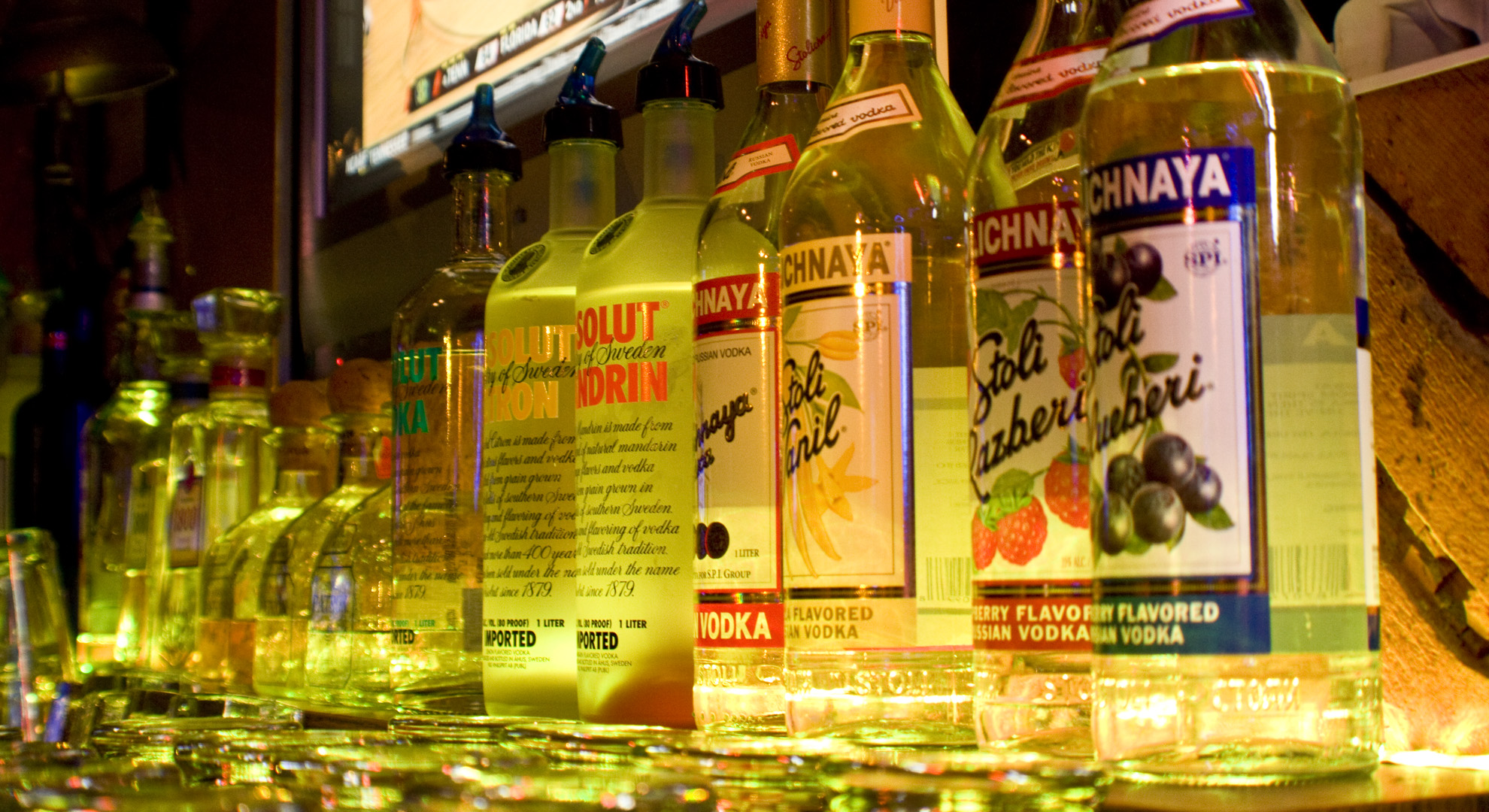 Inside The Glass Turtle