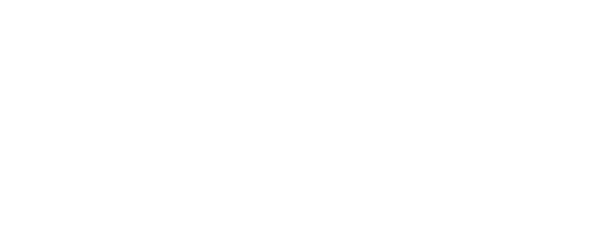 The Glass Turtle