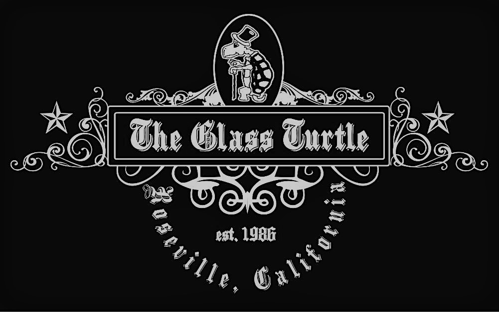 The Glass Turtle